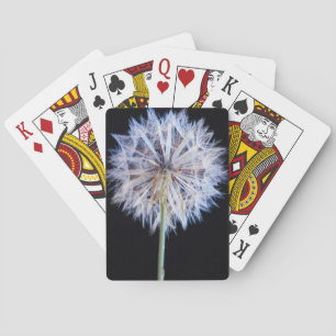 Löwenzahn (Taraxacum Officinale) Samenstand Spielkarten