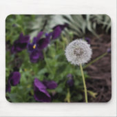 Löwenzahn- u. StiefmütterchenMausunterlage Mousepad (Vorne)
