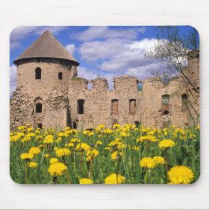 Löwenzahn umgibt Cesis Castle in Zentral Mousepad