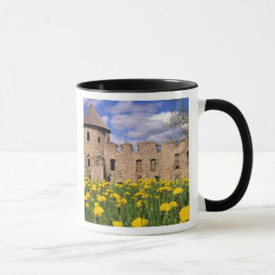 Löwenzahn umgibt Cesis Castle in Zentral Tasse