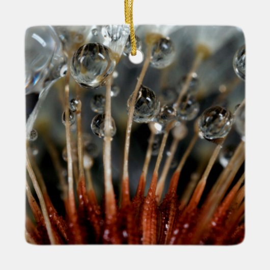 Löwenzahn und Wassertropfen, CA Keramikornament (Vorderseite)