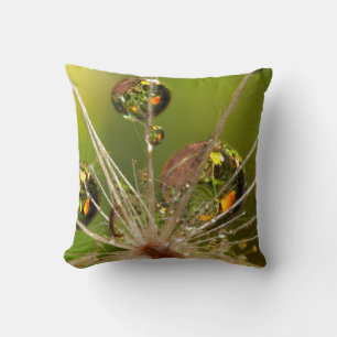 Löwenzahn und Wassertropfen Kissen