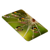 Löwenzahn und Wassertropfen Magnet (Rechte Seite)