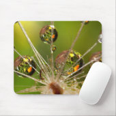 Löwenzahn und Wassertropfen Mousepad (Mit Mouse)