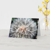 Löwenzahn Whisps Gruß-Karte Karte (Gelbe Blume)
