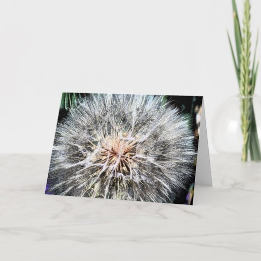 Löwenzahn Whisps Gruß-Karte Karte (Vorderseite)