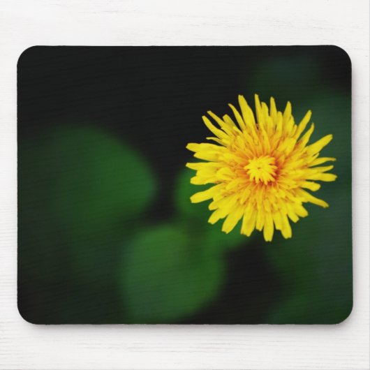 Löwenzahnblumen-Mauspad Mousepad (Vorne)
