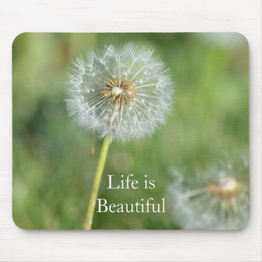 Löwenzahnblüte (Foto von mir) Mousepad (Vorne)