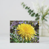 Löwenzahnblüte im Gras Postkarte (Stehend Vorderseite)