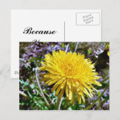 Löwenzahnblüte im Gras Postkarte (Vorne/Hinten)