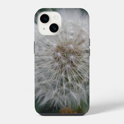 Löwenzahnblüte iPhone Hülle (Rückseite)