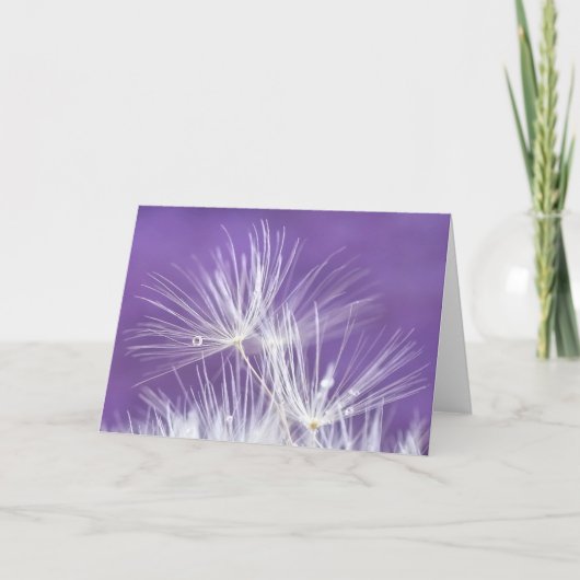 LöwenzahnFlorets Karte (Vorderseite)