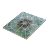 Löwenzahnmuster Fliese (Seite)