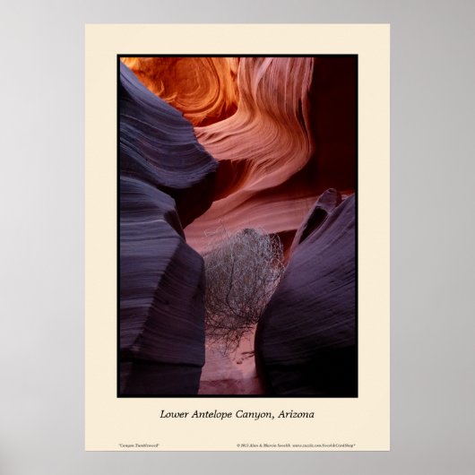 Lower Antelope Canyon Arizona Tumbleweed Südwesten Poster (Vorne)