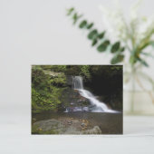 Lower Catawba Falls Postkarte (Stehend Vorderseite)