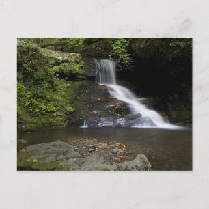 Lower Catawba Falls Postkarte