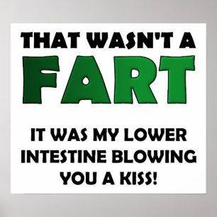 Lower Darne Kiss Funny Poster