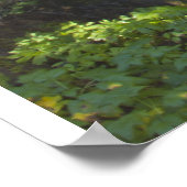 Lower Falls Creek Waterfall HDR, drucken mit Skrip Poster (Ecke)