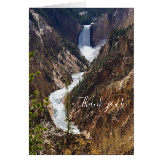Lower Falls Yellowstone Dankeschön Card (Vorne)