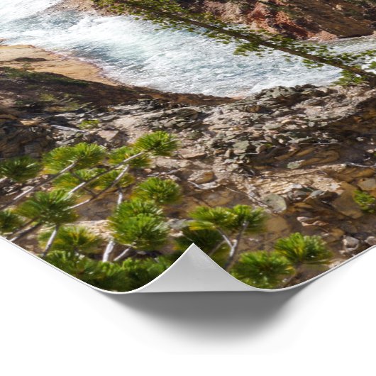 Lower Falls Yellowstone Poster (Ecke)