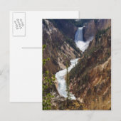 Lower Falls Yellowstone Postkarte (Vorne/Hinten)