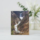 Lower Falls Yellowstone Postkarte (Stehend Vorderseite)