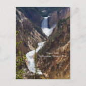 Lower Falls Yellowstone Postkarte (Vorderseite)