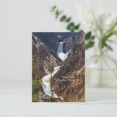 Lower Falls Yellowstone Postkarte (Stehend Vorderseite)