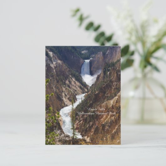 Lower Falls Yellowstone Postkarte (Stehend Vorderseite)