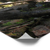 Lower Johnson Falls Poster (Ecke)