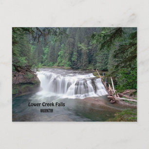 Lower Lewis Falls Washington Postcard Postkarte