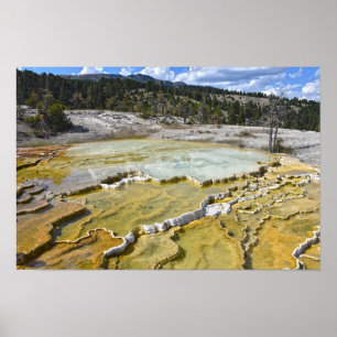 Lower Minerva Terrace, Yellowstone-Nationalpark Poster