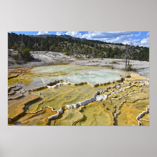 Lower Minerva Terrace, Yellowstone-Nationalpark Poster (Vorne)