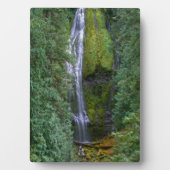 Lower Proxy Falls | Willamette National Forest Fotoplatte (Vorderseite)