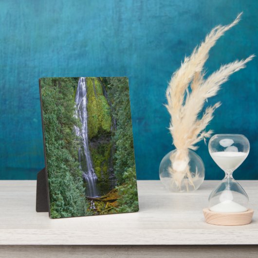 Lower Proxy Falls | Willamette National Forest Fotoplatte (Seite)