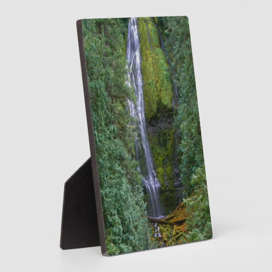 Lower Proxy Falls | Willamette National Forest Fotoplatte (Seite)