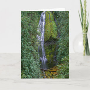 Lower Proxy Falls Willamette National Forest Karte