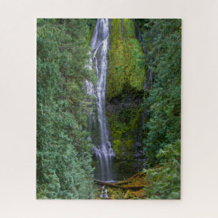 Lower Proxy Falls Willamette National Forest Puzzle