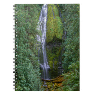 Lower Proxy Falls   Willamette Nationalforst Notizblock
