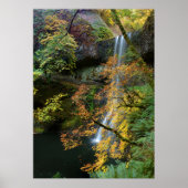 Lower South Falls Poster (Vorne)