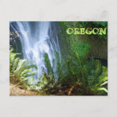 Lower South Falls Postkarte (Vorderseite)