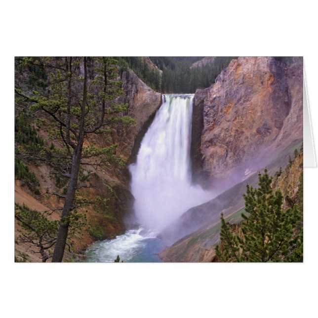 Lower Yellowstone Falls, Grand Canyon of (Vorderseite (Horizontal))