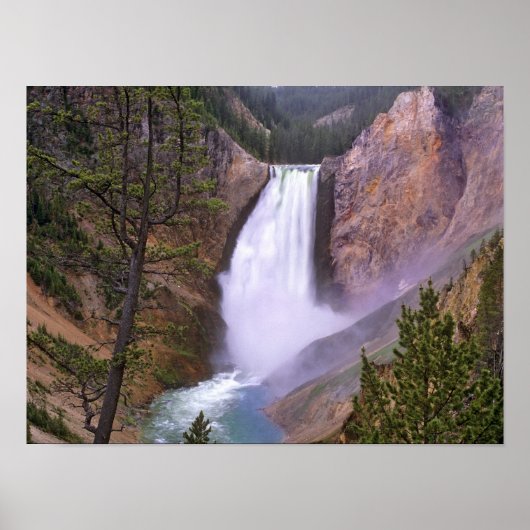 Lower Yellowstone Falls, Grand Canyon of Poster (Vorne)