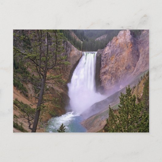 Lower Yellowstone Falls, Grand Canyon of Postkarte (Vorderseite)