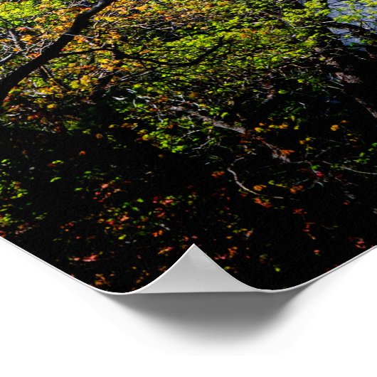 Lower Yosemite Falls Cascading Poster (Ecke)