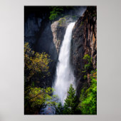 Lower Yosemite Falls Cascading Poster (Vorne)