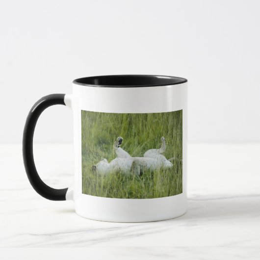 Löwerollen im hohen Gras, Afrika Tasse (Links)