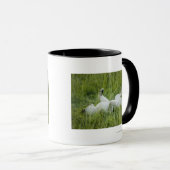 Löwerollen im hohen Gras, Afrika Tasse (VorderseiteRechts)