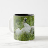 Löwerollen im hohen Gras, Afrika Zweifarbige Tasse (Vorderseite Links)