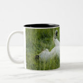 Löwerollen im hohen Gras, Afrika Zweifarbige Tasse (Links)